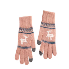 Hot Sale  Touch Screen  Customized Logo Winter Warm Women Magic Gloves